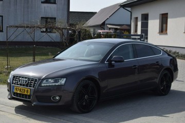 2.0B Automat/ Led/ Navi/ Oryginał Lakier/ Sprowadzony