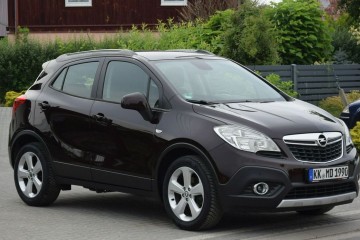 1.4TB 4x4 Navi Kamera brązowy Oryginał Lakier Sprowadzony